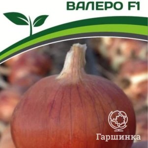 

Семена Лук репчатый Валеро F1 0,5 гр. Партнер