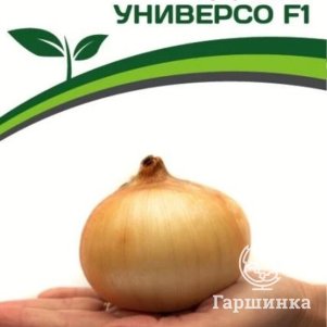 

Семена Лук репчатый Универсо F1 0,5 гр. Партнер