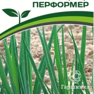 

Семена Лук батун Перформер 1 гр. Партнер
