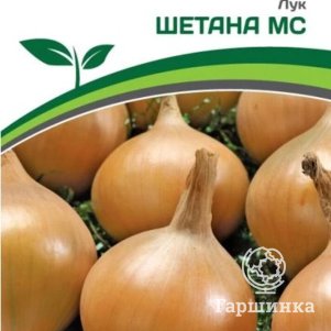 

Семена Лук репчатый Шетана МС 1 гр. Партнер