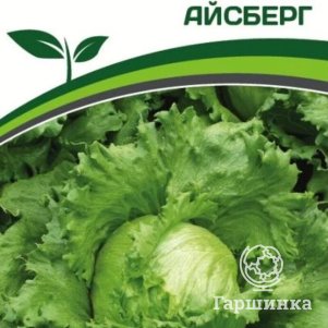

Семена Салат кочанный Айсберг 1 гр. Партнер