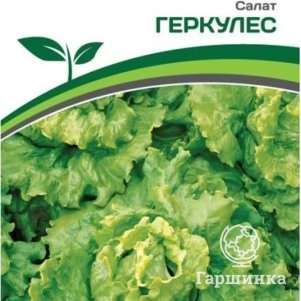 

Семена Салат листовой Геркулес 0,5 гр. Партнер