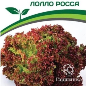 

Семена Салат листовой Лолло росса 0,5 гр. Партнер