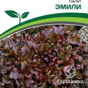 

Семена Салат листовой Эмили 1 гр, Партнер
