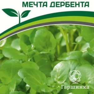 

Семена Кресс-салат Мечта Дербента 3 гр. Партнер