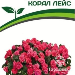 

Семена Бальзамин F1 Уоллера махровый Корал Лейс 5 шт. Партнер