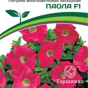 

Семена Петуния "МиМи" Паола F1 каскадная тёмно-розовая 5 шт. Партнер
