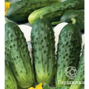 Семена Огурец Конкурент 0,5 г ЦП Гавриш