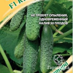 Семена Огурец Кураж F1 10 шт. автор. ЦП Гавриш