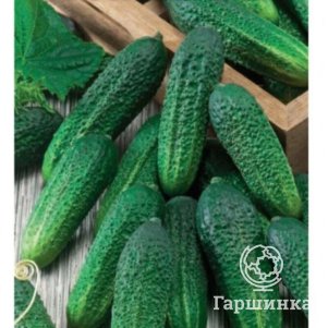 Семена Огурец Либелле F1 0,5 г ЦП Гавриш
