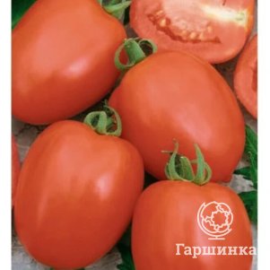 Семена Томат Новичок 0,05 г ЦП Гавриш