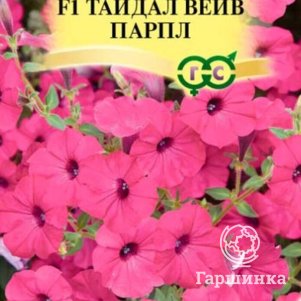 Семена Петуния Тайдал Вейв парпл F1 (Минитуния) суперкаскад. 4 шт. гранул. проб. серия Элитная клумб