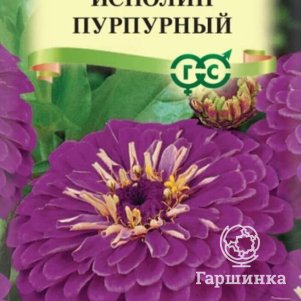 Семена Цинния Исполин пурпурный 0,3 г ЦП Гавриш