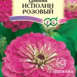 Семена Цинния Исполин розовый 0,3 г серия Розовые сны ЦП Гавриш