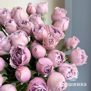 

Роза Лавандер Бабблс