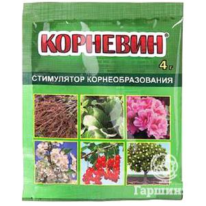 

Корневин стимулятор корнеобразования