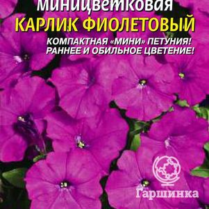 Семена Петуния Карлик Фиолетовый миницветковая F1