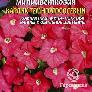 

Семена Петуния F1 миницветковая Карлик Темно-лососевый
