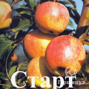 

Яблоня Старт