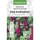 Семена Амарант Ред Кафедрал