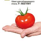 Семена Томат Магнит F1