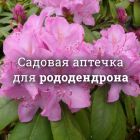 Аптечка для рододендронов