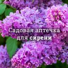 Аптечка для сирени