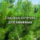 Аптечка для хвойных деревьев и кустарников №1