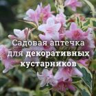 Аптечка для декоративных кустарников и деревьев