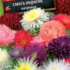 Семена Астра Школьная 0,2гр ЦП