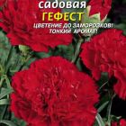 Семена Гвоздика Гефест ц.п. 0,1гр