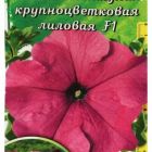 Семена Комплиментуния лиловая10шт ЦП