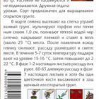 Семена Томат Мармелад оранжевый 0,1гр ЦП