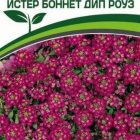 Семена Алиссум морской "Истер Боннет Дип Роуз" 0,01 г Партнер