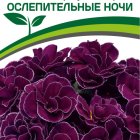 Семена Примула F1 махровая "Тет-А-Тет" Ослепительные Ночи 5, Партнер