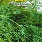 Семена Укроп Борей, 1,5-2 гр, Плазменные семена