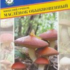 Масленок обыкновенный мицелий