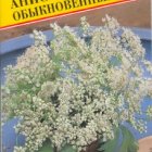 Семена Анис обыкновенный 0,5гр, Престиж