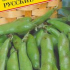 Семена Бобы "Русские чёрные" 10 шт, Престиж