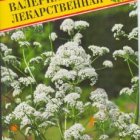 Семена Валериана лекарственная 0,05 гр, Престиж