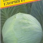 Семена Капуста б/к "Глория F1" 15 шт, Престиж