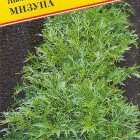 Семена Капуста японская "Мизуна" 10 шт, Престиж