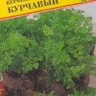 Семена Кервель курчавый 0,5 гр, Престиж