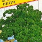 Семена Петрушка лист.курчавая "Петра" 1 гр, Престиж