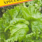 Семена Салат "Хрустальный" 0,5 гр, Престиж