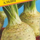 Семена Сельдерей корневой "Албин" 1 гр, Престиж