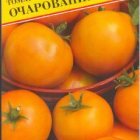 Семена Томат "Очарование" 10шт, Престиж