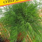 Семена Укроп "Супердукат ОЕ" 2 гр, Престиж