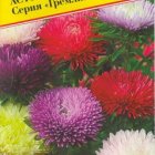 Семена Астра "Гремлин"  Смесь всех цветов 0,3 гр, Престиж