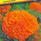 Семена Бархатцы прям. "Прауд Мэри" Оранжевые F1 5 шт, Престиж